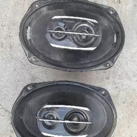 pioner kolonka original