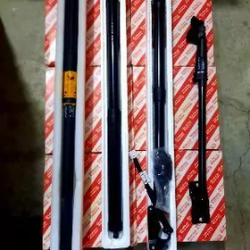 Prado 10-23 Rx350  Bagaç Ammasatyr