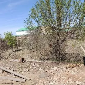 Mellek 8sotok Maksim kalhoz