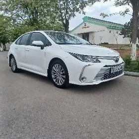 Toyota Corolla 2022