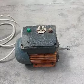 точила, tocila nasos