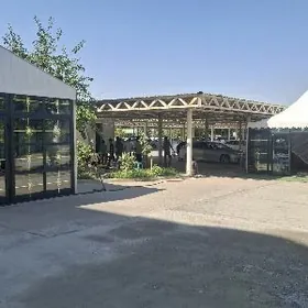 palata gurup sokmeli