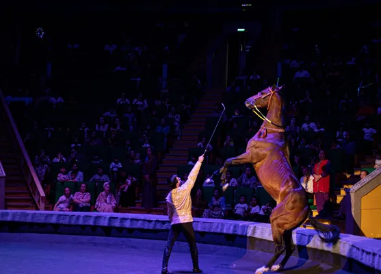 Гравитация подождет: Государственный цирк Туркменистана готовит новое шоу