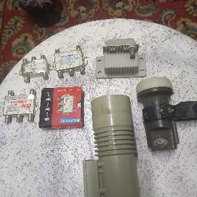 головка и свинины на антену