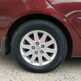 Grant disga Pakrişga