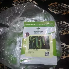 hyyar tohum kenzo f1.fırmını