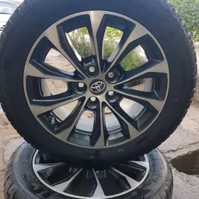 17 lik diska pakriska