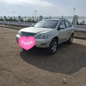 Lexus RX 330 2004