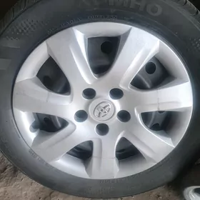 disga pokryska 16lyk