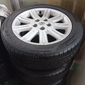 17 lik diska pakriska