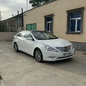 Hyundai Sonata 2010