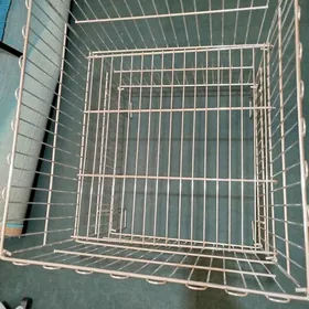 witrina setka magazin, dükan