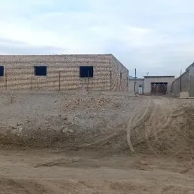 doly bitmedik plan jay