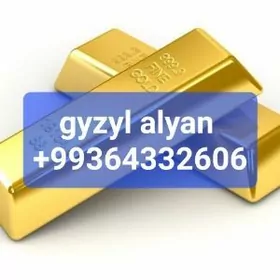 gyzyl alyan