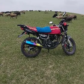 Fekon FK200-14G 2016