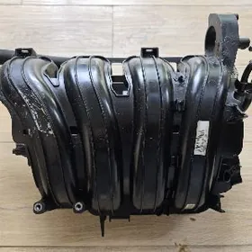 Pauk (Pawuk Kollektor) 2.4 GDI