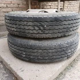 forland trangil balon