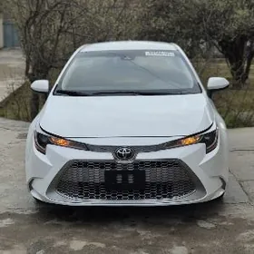 Toyota Corolla 2022