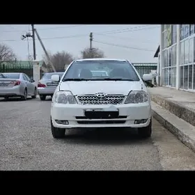 Haliji corolla morda