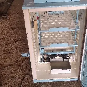 inkubator инкубатор