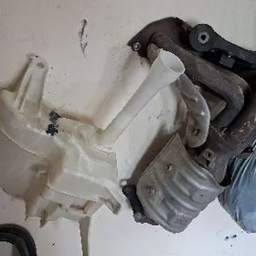 kallektor glusytil aryketek