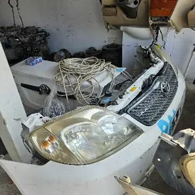 Haliji corolla kelte morda