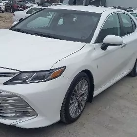 Toyota Camry 2020
