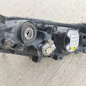 avalon 2014 fara gashly