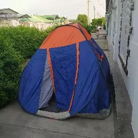 Palatga uly5 adam sygya