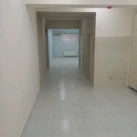 arenda gurtly pol padwal