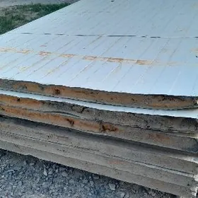 sandwich panel