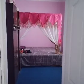 Satlyk howly jay 16 stuk