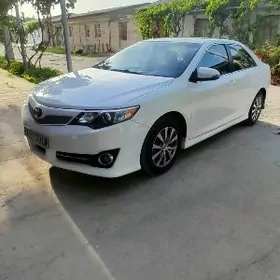 Toyota Camry 2013