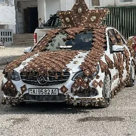 Masyn bezegleri maşyn toý paý