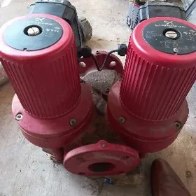 nasos gyzgyn suw 《Germany 》