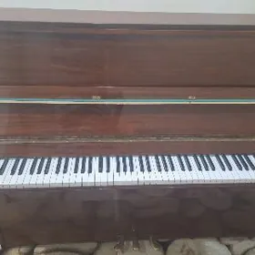 Pianino Пианино CОНЕТ