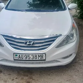 Hyundai Sonata 2010