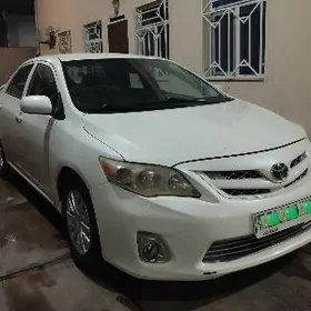 Toyota Corolla 2011