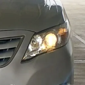 okuzkelle fara depo orginal