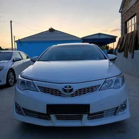 Toyota Camry 2013