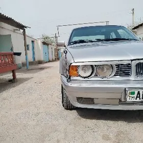 BMW E34 1991