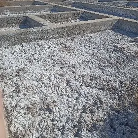 Dasoguz saher sabat etrap