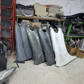 Haylandr krylo morda 10