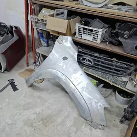 Rav-4 krylo 10 morda