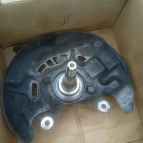 2000 haýysyň kulagi