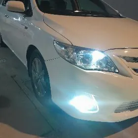 Toyota Corolla 2009