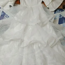 Original şyfon gowsy