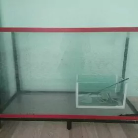 akwarium - аквариум