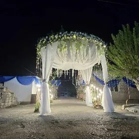 toy bezeg arka sem cyra satlyk