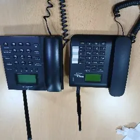 20 lik telefon domasny yalak
